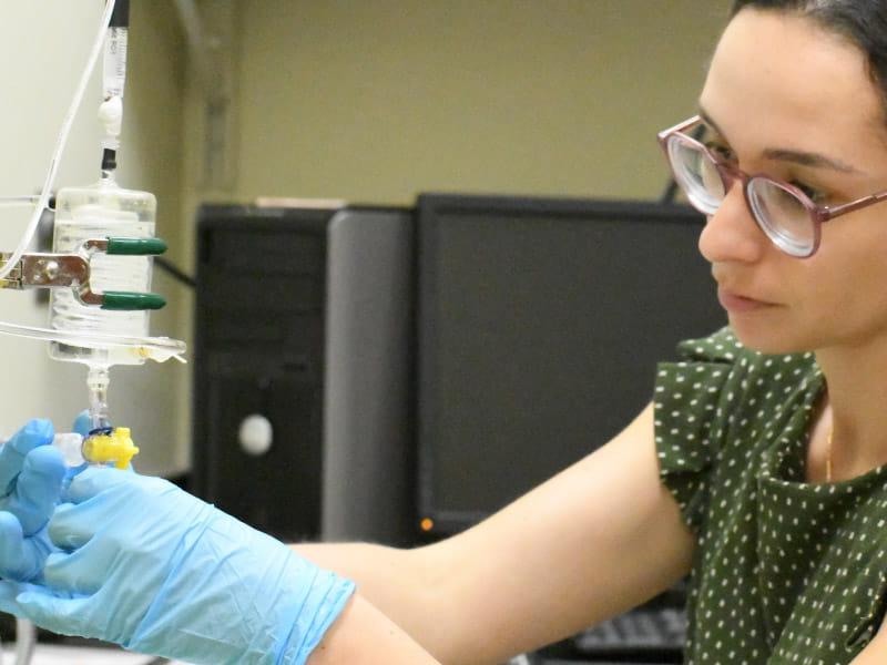 保拉·涅托·莫拉莱斯, a doctoral student at Florida State University College of Medicine, works in the lab of biomedical sciences professor Dr. 何塞·平托. (Photo courtesy of Paula Nieto-Morales)